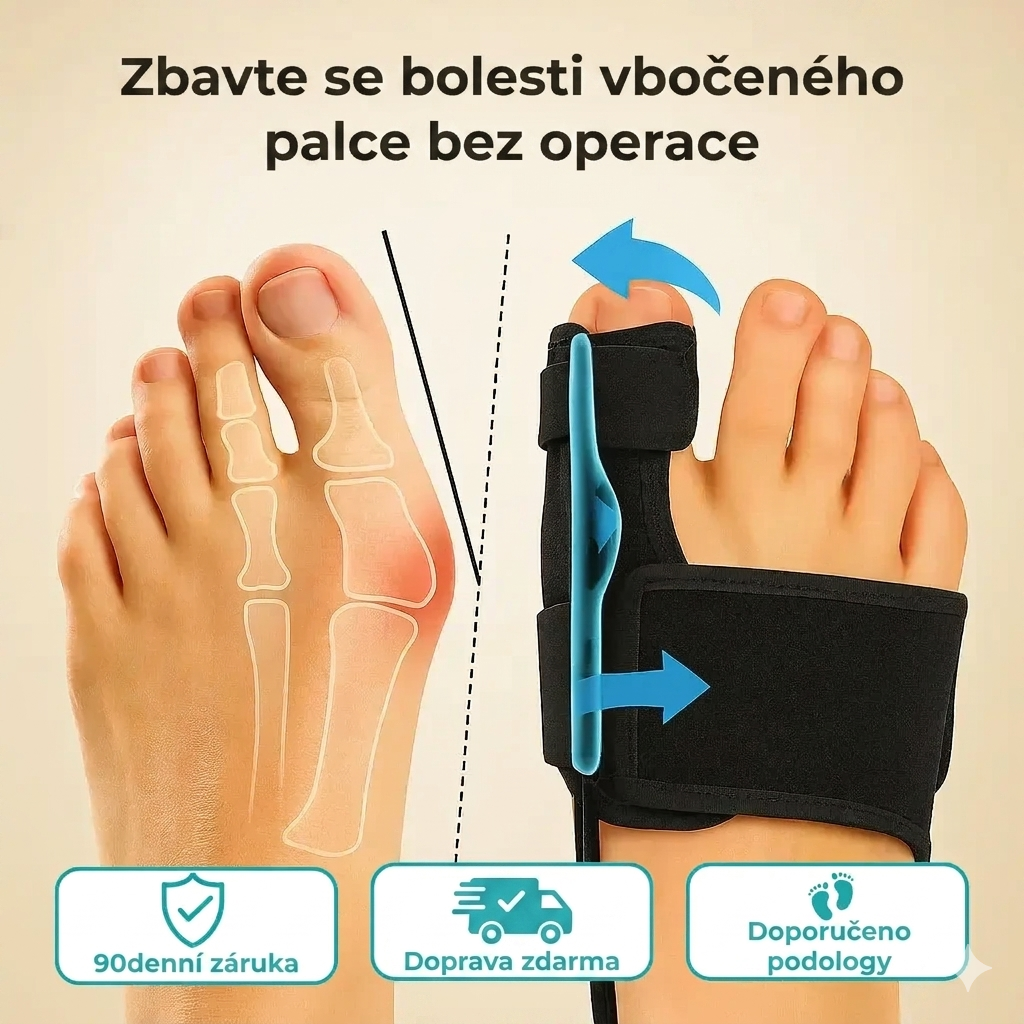 Orteza Recovist